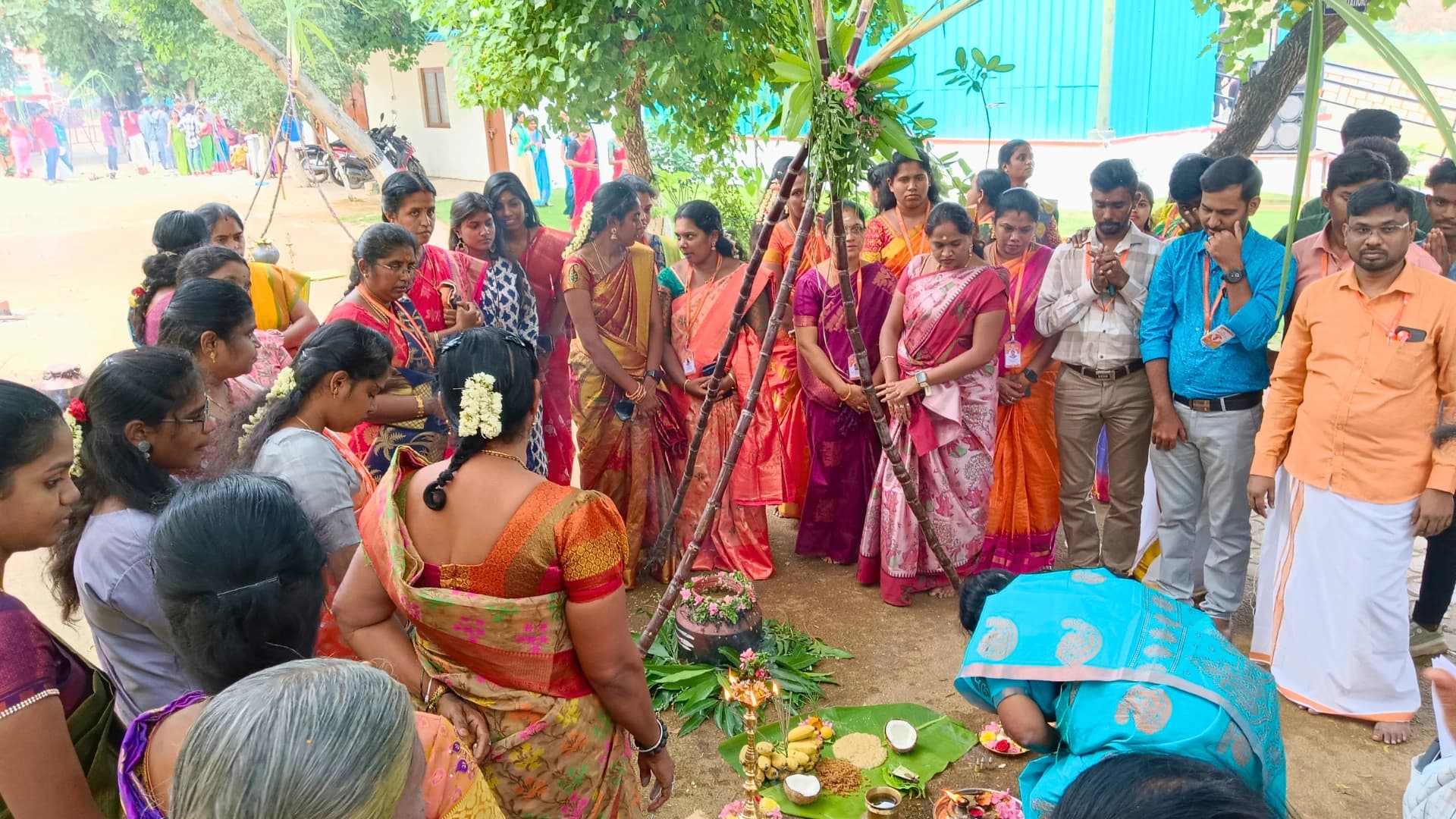Pongal Celebrations