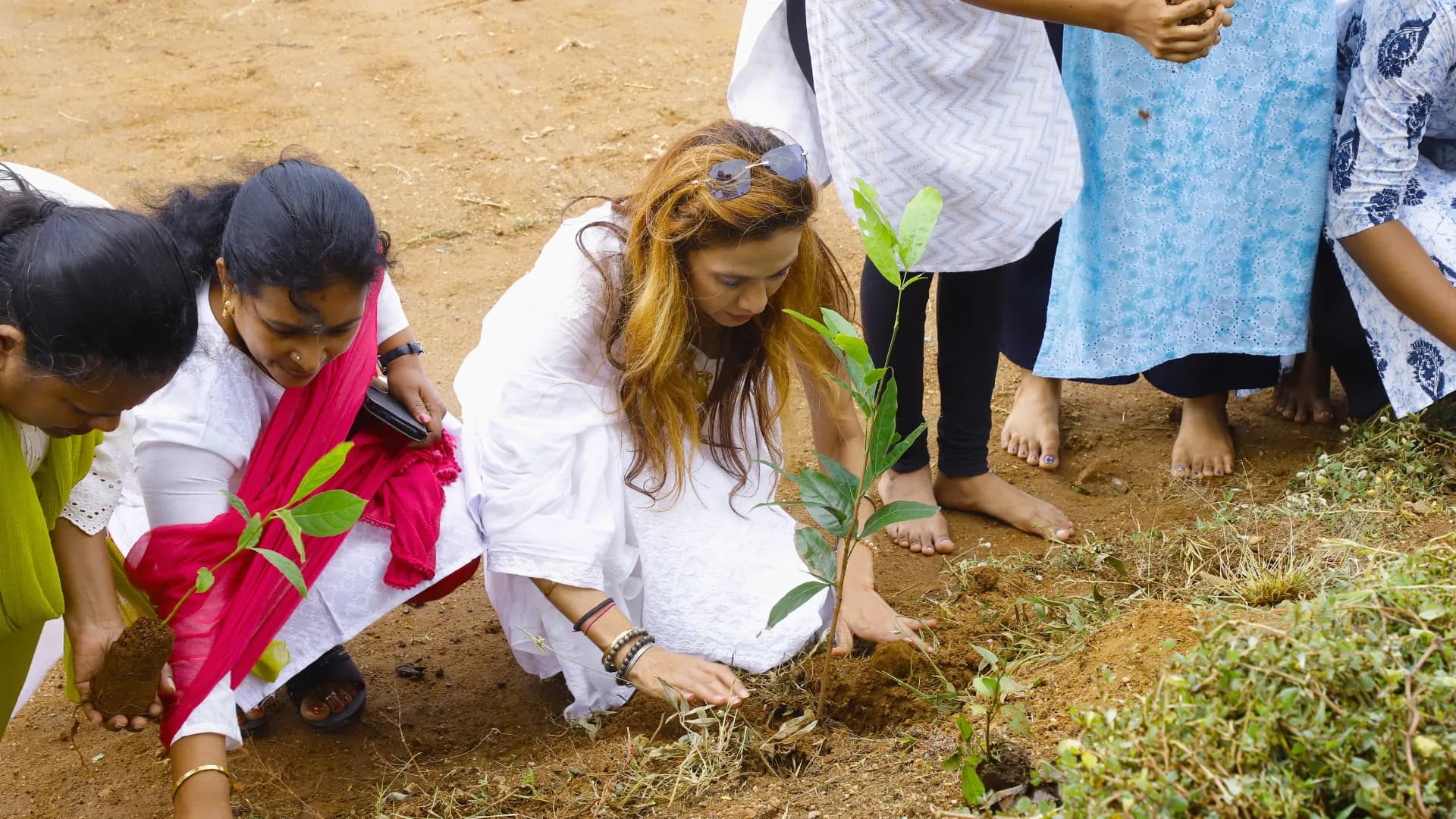Faculty and students planting saplings
