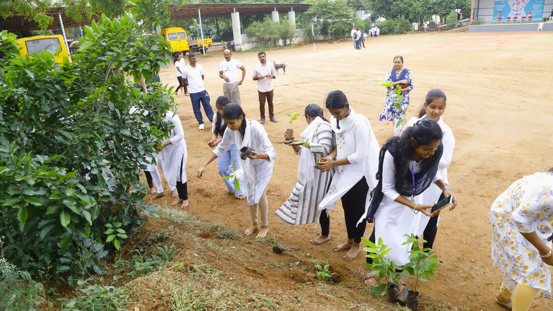 Students planting trees on campus